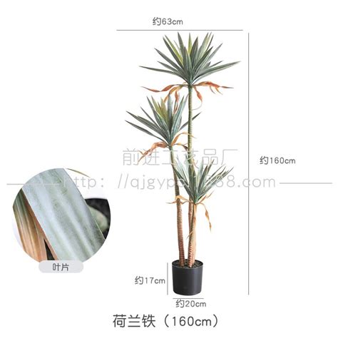 假植物|仿真植物｜優惠推